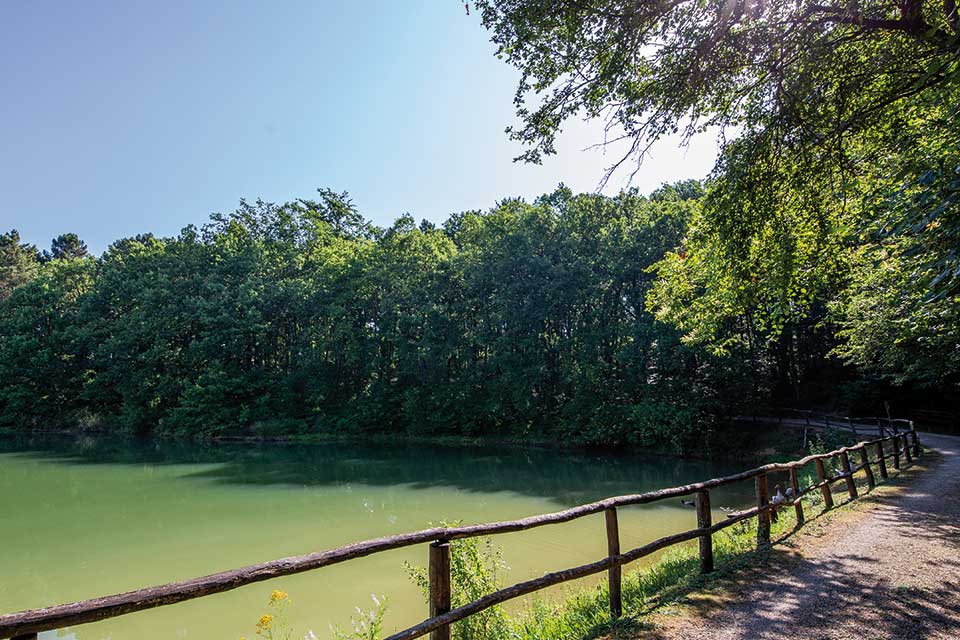 Lac de pêche sportive